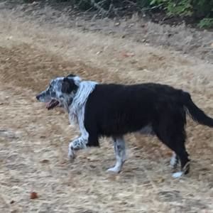 Meet your Posher, Jake